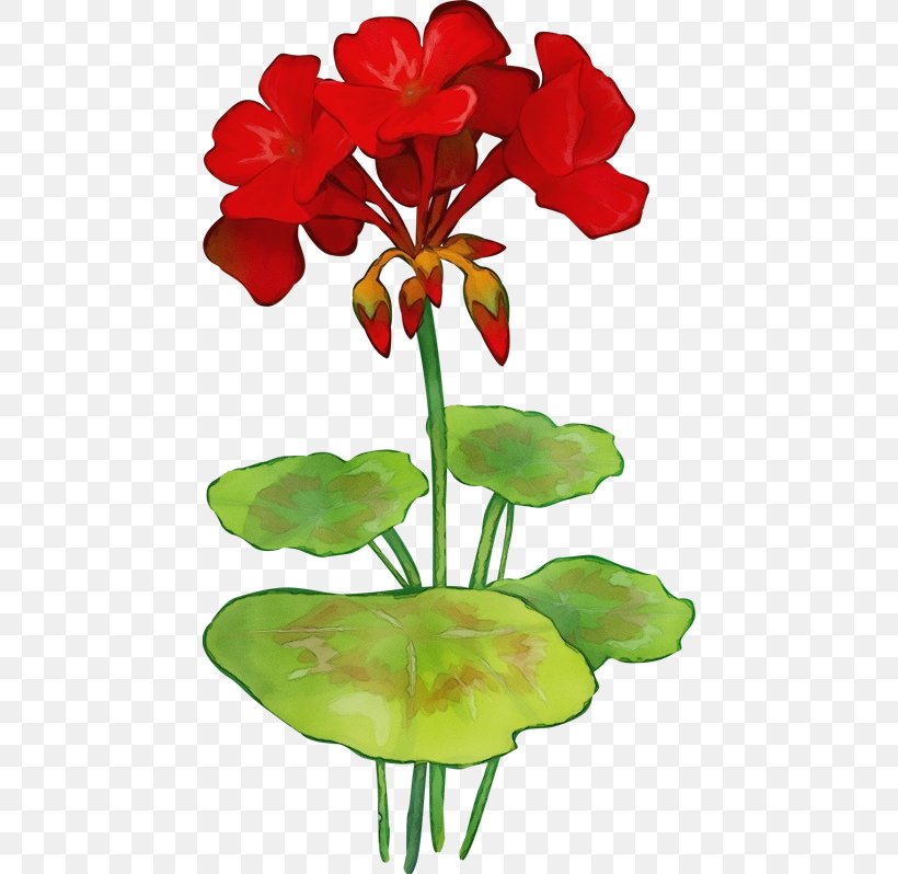Flower Petal Plant Cut Flowers Plant Stem, PNG, 450x798px, Watercolor, Anthurium, Cut Flowers, Flower, Paint Download Free