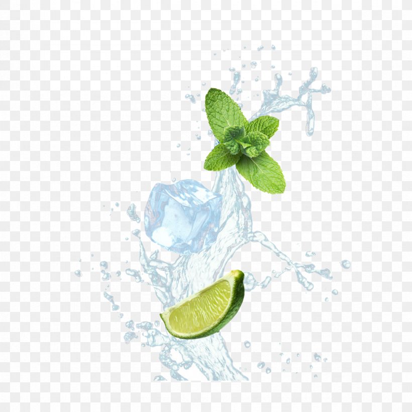 Mojito Lemon Ice Cube Mint, PNG, 1181x1181px, Mojito, Candle, Citrus, Cube, Drink Download Free