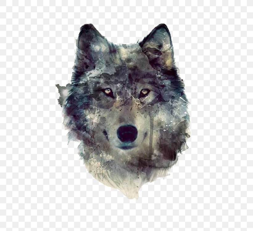 Wolf Drawing, PNG, 485x750px, Wolf, Artist, Canis, Canis Lupus Tundrarum, Coyote Download Free