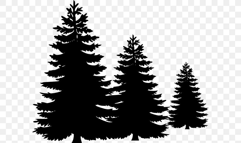 Pine Tree Clip Art, PNG, 600x488px, Pine, Black And White, Branch, Christmas Decoration, Christmas Ornament Download Free