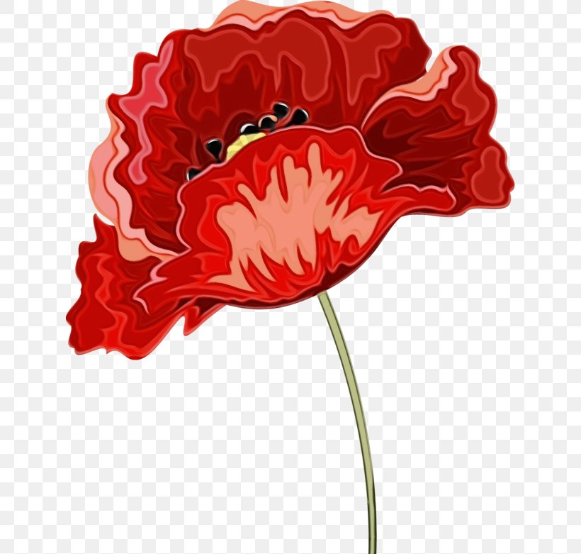 Red Flower Plant Carnation Cut Flowers, PNG, 634x781px, Watercolor, Carnation, Coquelicot, Cut Flowers, Flower Download Free