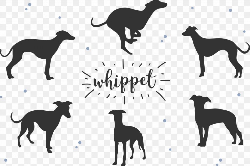 Whippet Greyhound Dog Breed Silhouette, PNG, 2574x1715px, Whippet, Black And White, Black Dog, Breed, Canidae Download Free