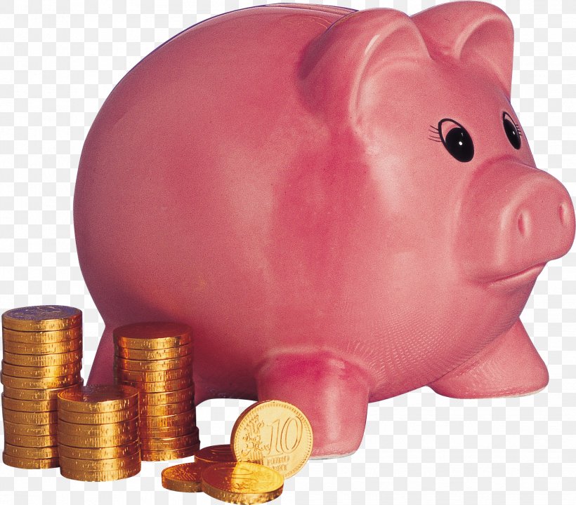 Domestic Pig Piggy Bank Money Coin, PNG, 1991x1749px, Domestic Pig, Coin, Finance, Money, Pig Like Mammal Download Free