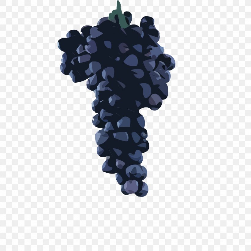 Grape Sultana Clavulinopsis Corallinorosacea Clavaria Zollingeri Game, PNG, 2048x2048px, Grape, Clavaria Zollingeri, Clavariaceae, Cultivar, Flowering Plant Download Free