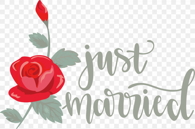 Just Married Wedding, PNG, 2999x1984px, Just Married, Bridal Shower, Bride, Gift, Valentines Day Download Free