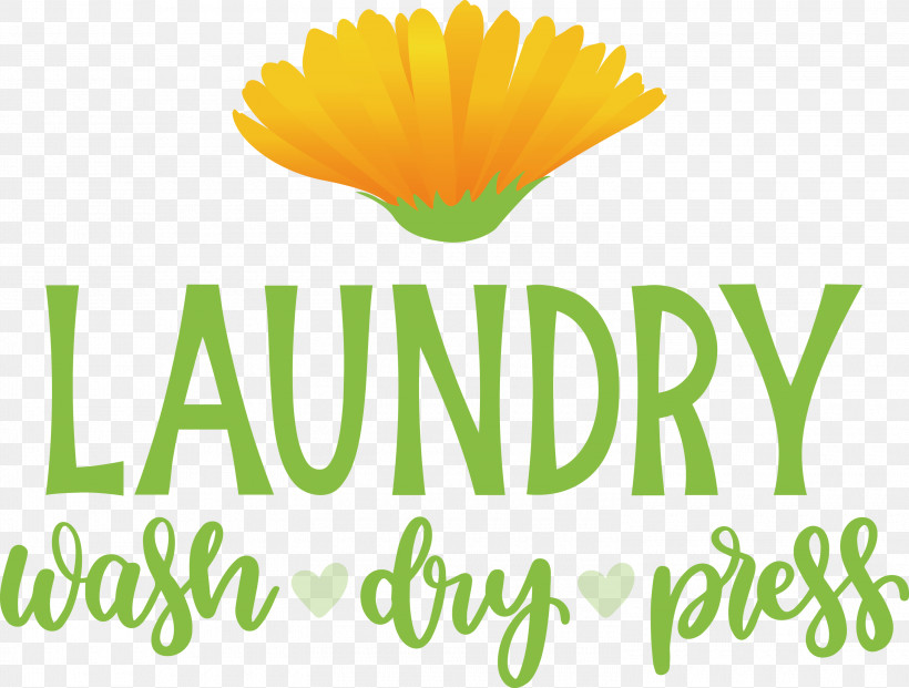 Laundry Wash Dry, PNG, 3000x2273px, Laundry, Calendula, Cut Flowers, Dry, Flower Download Free