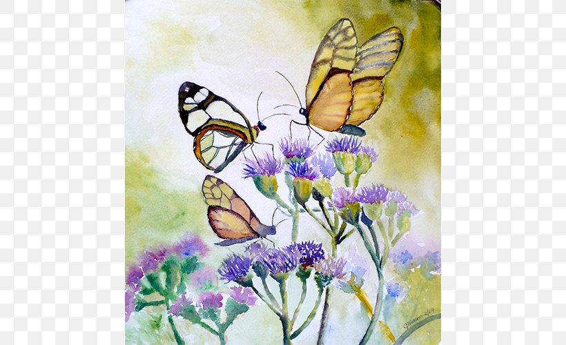 Monarch Butterfly Watercolor Painting Insect, PNG, 600x500px, Butterfly, Animal, Art, Brush Footed Butterfly, Butterflies And Moths Download Free