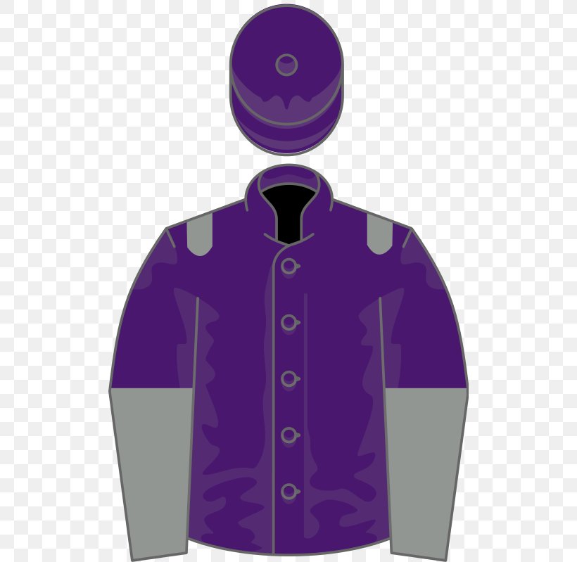 Horse Wikipedia Clip Art Wikimedia Foundation Free Content, PNG, 512x799px, Horse, Hood, Horse Racing, Jacket, Outerwear Download Free