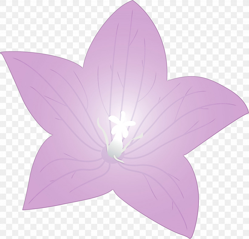 Lavender, PNG, 3000x2892px, Balloon Flower, Flower, Lavender, Paint, Petal Download Free