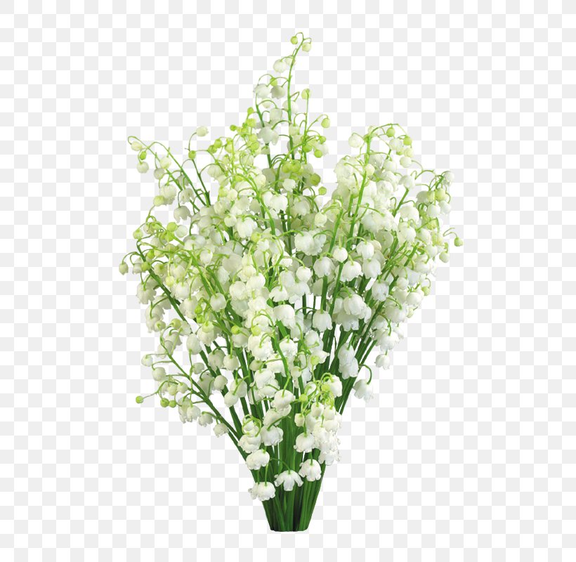 Lily Of The Valley Lilium Flower Stock Photography, PNG, 555x800px, Lily Of The Valley, Artificial Flower, Convallaria, Cut Flowers, Floral Design Download Free