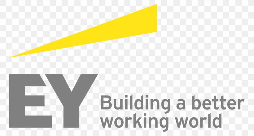 Logo Ernst & Young Solutions LLP Audit Report, PNG, 1501x806px, Logo, Area, Audit, Brand, Business Download Free