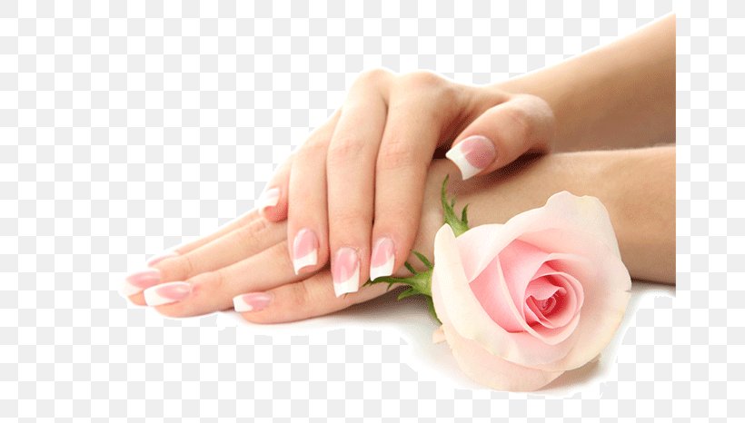 Manicure Orchid NAILS & SPA Pedicure Nail Salon, PNG, 669x466px, Manicure, Artificial Nails, Beauty, Beauty Parlour, Day Spa Download Free