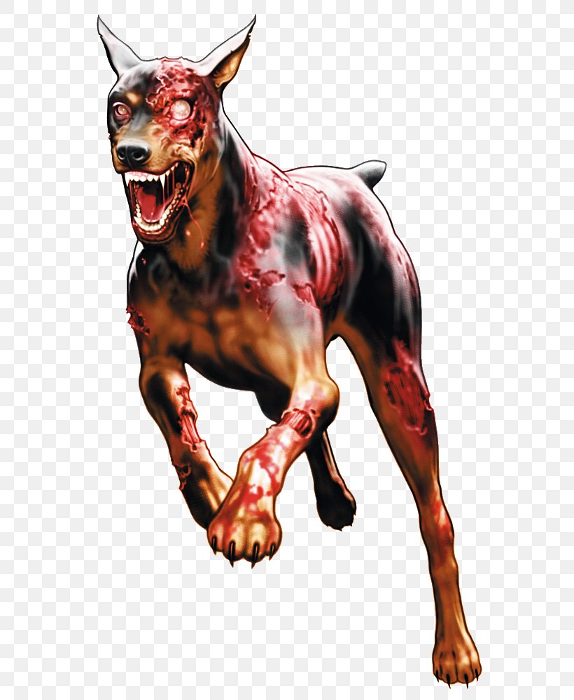 Resident Evil: The Umbrella Chronicles Resident Evil 4 Dobermann Resident Evil 2, PNG, 627x1000px, Resident Evil 4, Art, Capcom, Carnivoran, Cerberus Download Free