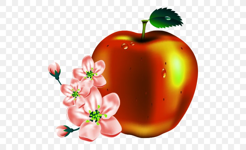 Apple Fruit Clip Art, PNG, 500x500px, Apple, Display Resolution, Food, Fruit, Image File Formats Download Free