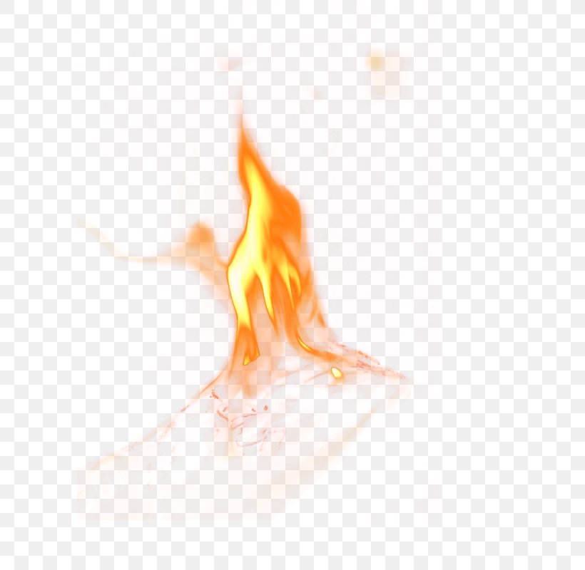 Flame Fire No, PNG, 800x800px, Fire, Color, Computer, Flame, Gratis Download Free