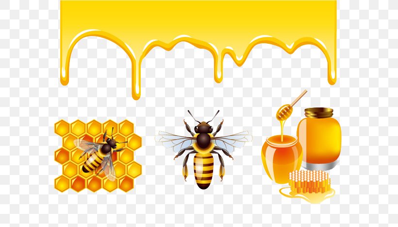 Honey Bee Honey Bee Honeycomb, PNG, 600x467px, Western Honey Bee, Bee, Bee Pollen, Beehive, Beeswax Download Free