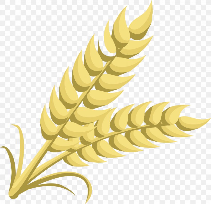 Wheat Cereal Ear Clip Art, PNG, 2475x2400px, Wheat, Cereal, Commodity, Ear, Food Download Free