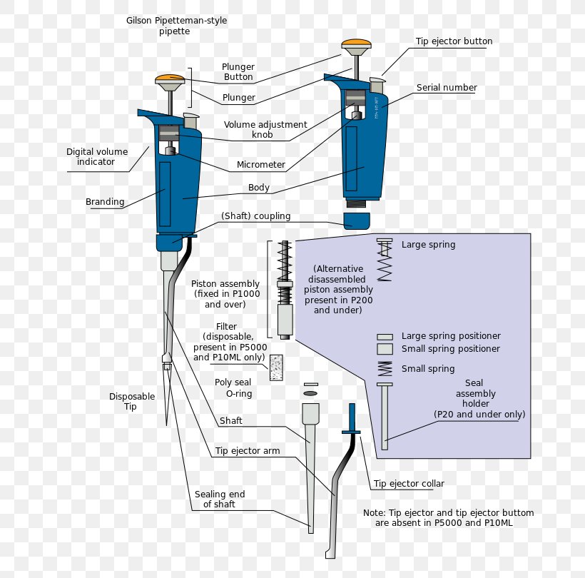 Air Displacement Pipette Volumetric Pipette Pasteur Pipette Graduated Pipette, PNG, 764x810px, Pipette, Air Displacement Pipette, Calibration, Diagram, Graduated Cylinders Download Free