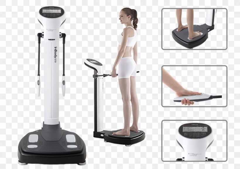 Body Composition InBody Bioelectrical Impedance Analysis Adipose Tissue Health, PNG, 900x635px, Body Composition, Adipose Tissue, Arm, Balance, Bioelectrical Impedance Analysis Download Free