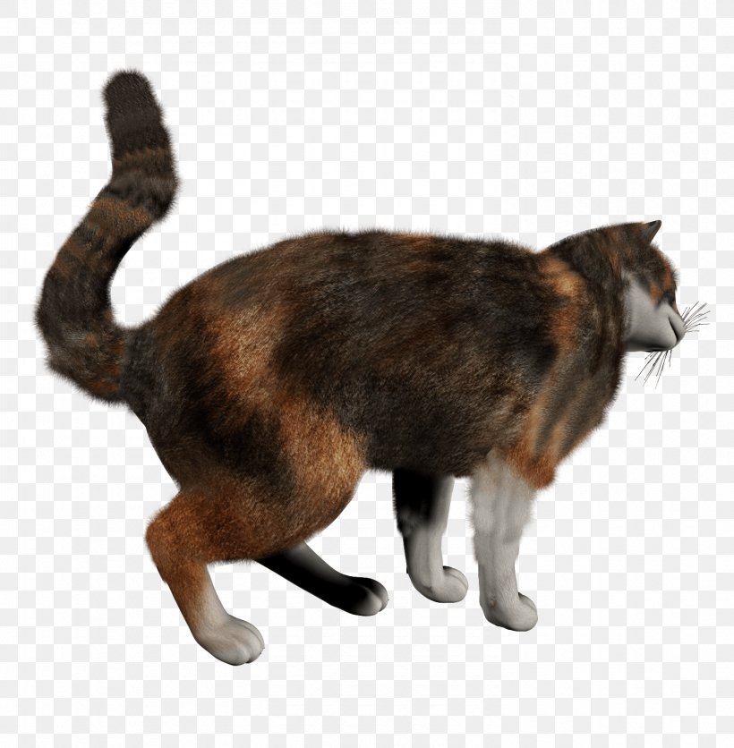 Cat Kitten, PNG, 1490x1520px, European Shorthair, Aegean Cat, American Shorthair, Animal, Carnivoran Download Free
