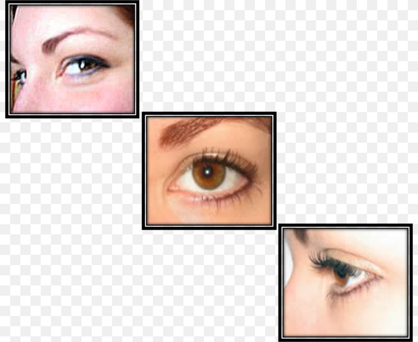 Eyelash Extensions Eye Shadow Eye Liner Mascara, PNG, 800x671px, Watercolor, Cartoon, Flower, Frame, Heart Download Free