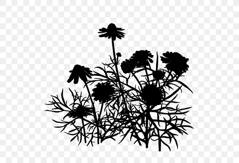 Flowering Plant Silhouette Font Leaf, PNG, 600x560px, Flower, Blackandwhite, Botany, Branch, Branching Download Free