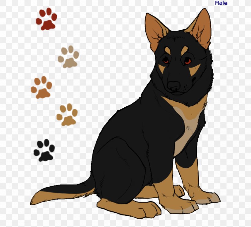 German Shepherd Australian Kelpie Dog Breed Razas Nativas Vulnerables Paw, PNG, 824x747px, German Shepherd, Animal, Animal Track, Australian Kelpie, Carnivoran Download Free