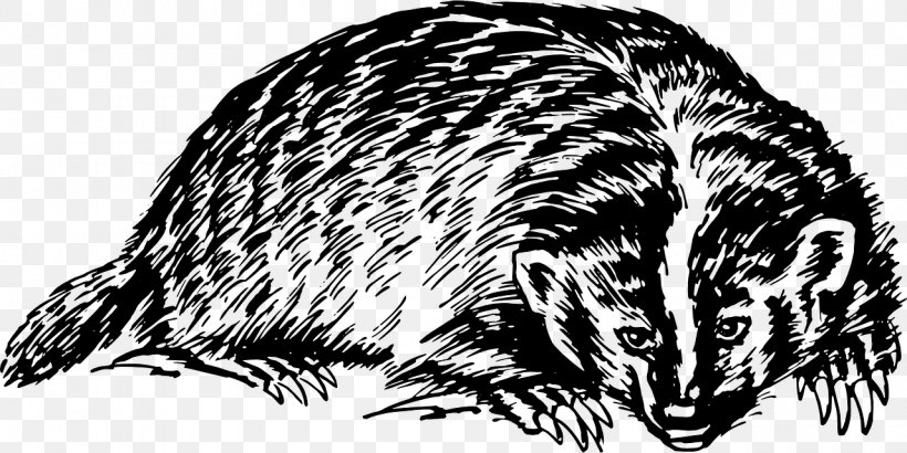 European Badger Honey Badger Clip Art, PNG, 1280x640px, European Badger, Badger, Beak, Black And White, Carnivoran Download Free