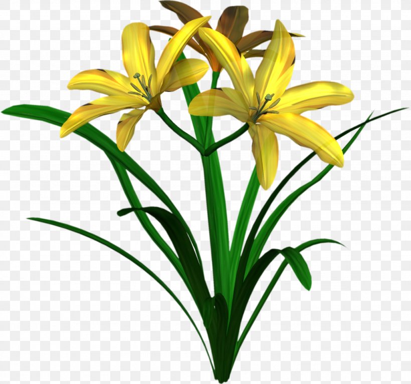 Flower Tree Clip Art, PNG, 1024x957px, Flower, Animation, Cut Flowers, Daylily, Drawing Download Free