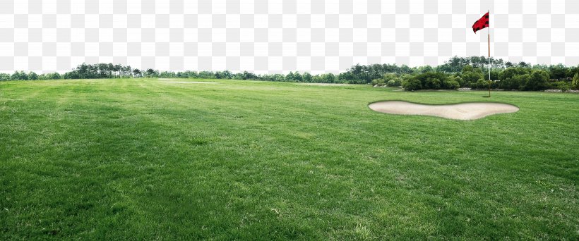 Golf Course Sports Venue, PNG, 5000x2086px, Golf, Artificial Turf, Backyard, Cloud, Golf Course Download Free