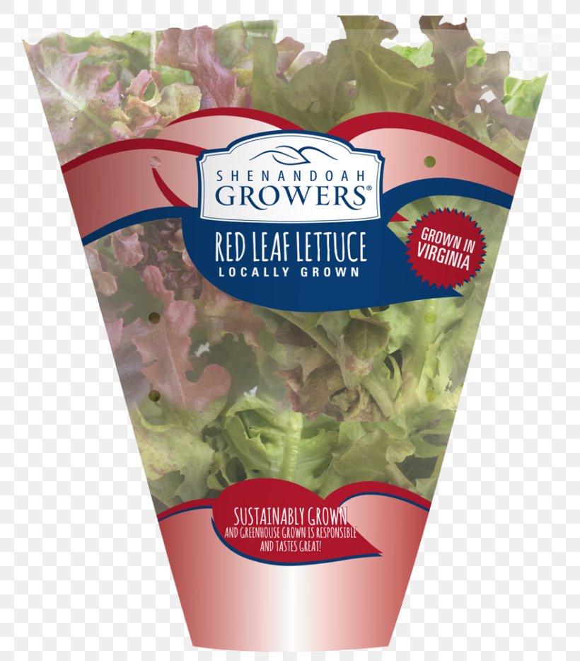 Leaf Vegetable Leaf Lettuce Crisp Salad Shenandoah Growers Inc., PNG, 768x934px, Leaf Vegetable, Butter, Crisp, Eating, Flavor Download Free