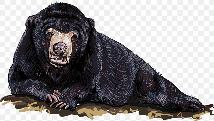 Polar Bear Wolf Vector Graphics Illustration, PNG, 4000x2269px, Bear, American Black Bear, Brown Bear, Carnivoran, Drawing Download Free