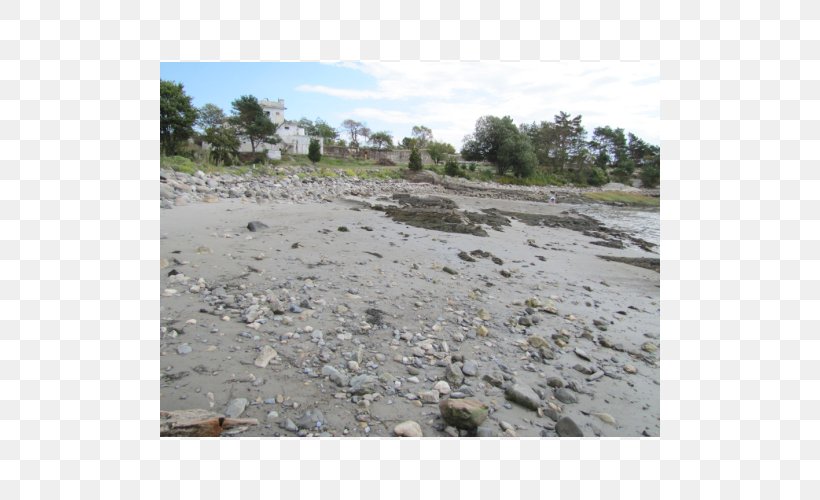 Shore Plant Community Soil Land Lot, PNG, 500x500px, Shore, Area, Beach, Community, Geological Phenomenon Download Free