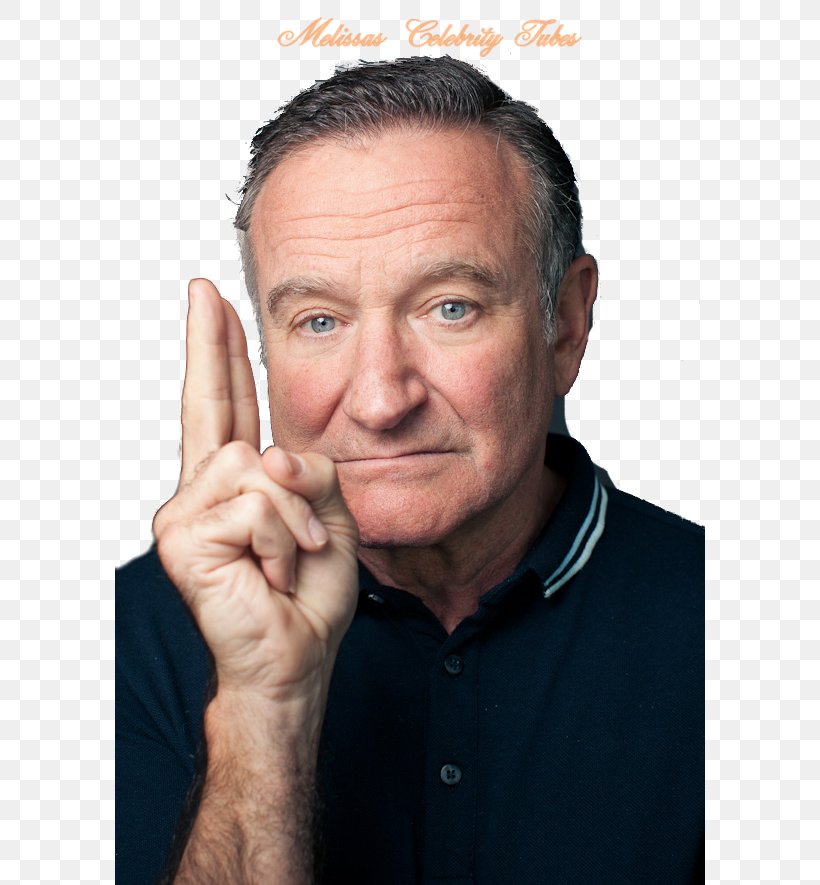 Robin Williams Mork & Mindy Comedian Actor Film, PNG, 590x885px, Robin Williams, Actor, Aladdin, Cheek, Chin Download Free