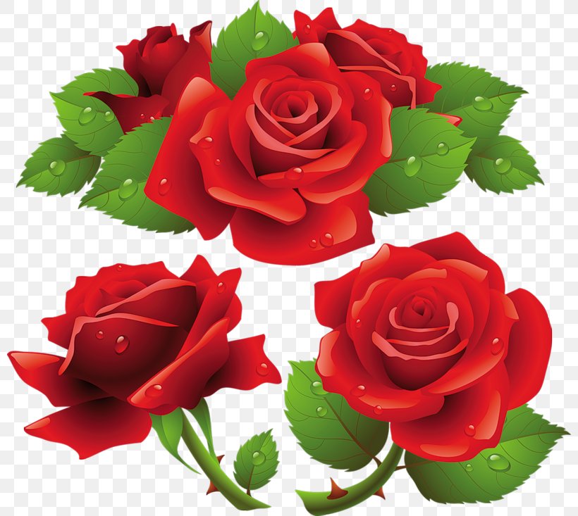 Rose Clip Art, PNG, 800x733px, Rose, Art, China Rose, Cut Flowers, Floral Design Download Free