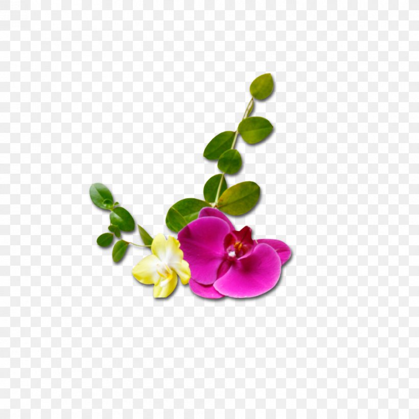 Shanghai, PNG, 945x945px, Gratis, Flora, Floral Design, Flower, Flowering Plant Download Free