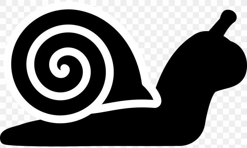 Snail Mail Innovation Clip Art, PNG, 2000x1200px, Snail, Animal, Black And White, Dinozoa, Innovation Download Free