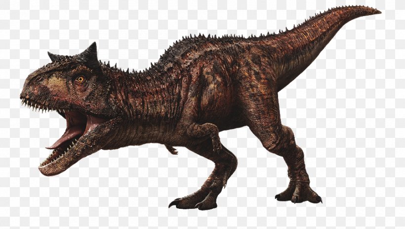 Velociraptor Carnotaurus Jurassic World Evolution Tyrannosaurus Jurassic Park, PNG, 900x511px, Velociraptor, Animal Figure, Carnotaurus, Dinosaur, Extinction Download Free