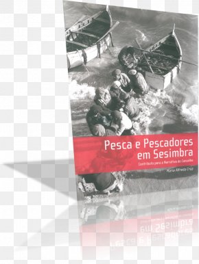 Wine - Wine CÃ¢mara Municipal De Sesimbra JosÃ© Maria Da Fonseca Fish Jose Maria Da Fonseca Periquita PNG