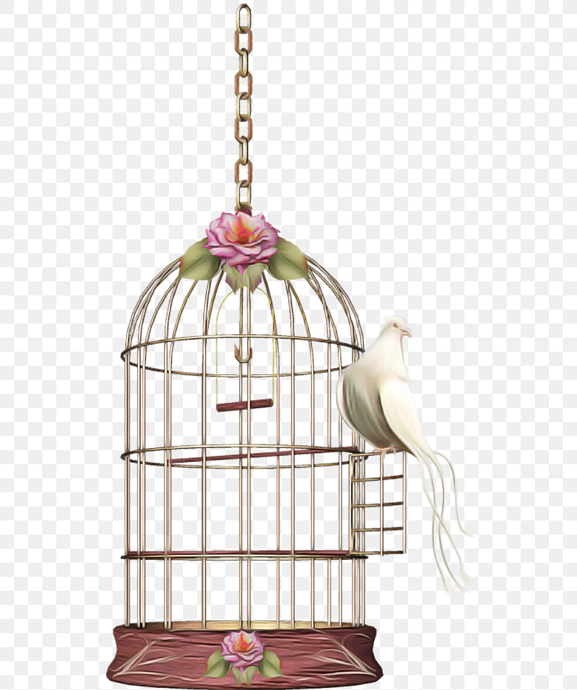 Cage Bird Supply Bird Pet Supply Ceiling Fixture, PNG, 529x981px, Cage, Bird, Bird Supply, Ceiling Fixture, Pet Supply Download Free