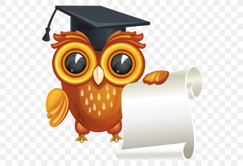 Diploma Bachelors Degree Graduation Ceremony Clip Art, PNG, 600x559px, Diploma, Academic Certificate, Academic Degree, Bachelors Degree, Beak Download Free