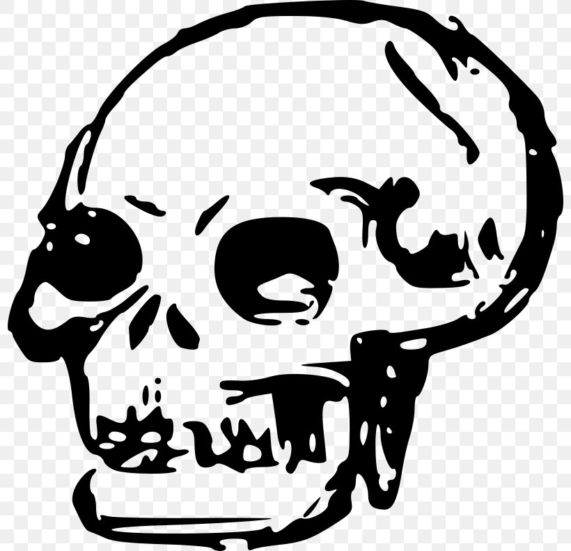 Human Skull Symbolism Human Skeleton Clip Art, PNG, 800x791px, Skull, Artwork, Black And White, Bone, Drawing Download Free