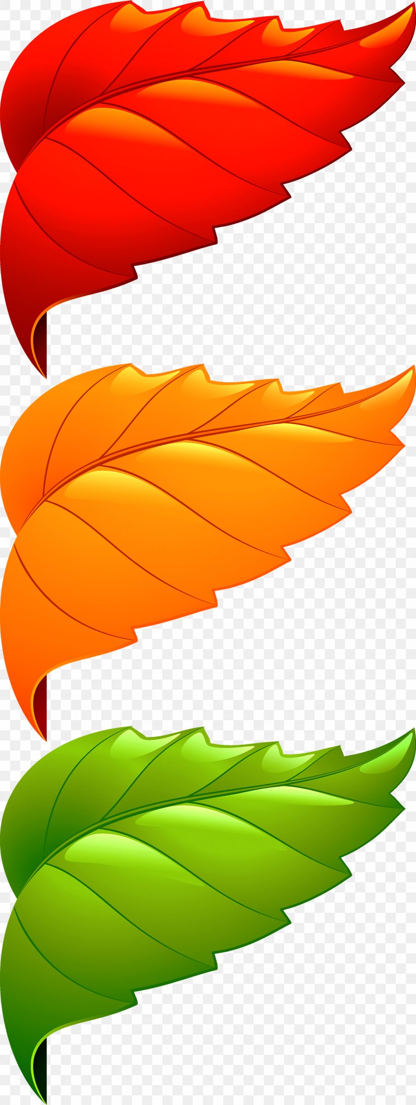 Maple Leaf Adobe Illustrator, PNG, 1300x3456px, Leaf, Orange, Plant, Product Design Download Free