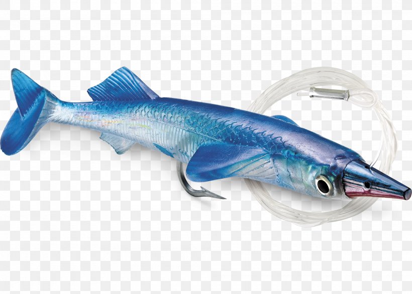 Swimming Fishing Baits & Lures Trolling Fish Hook, PNG, 2000x1430px, Swimming, Bait, Barramundi, Blue, Cartilaginous Fish Download Free