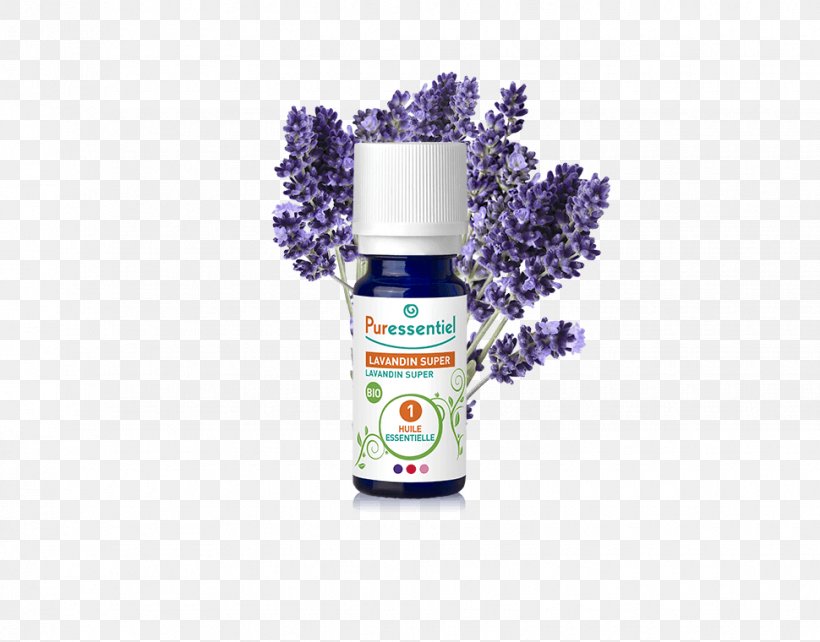 English Lavender Essential Oil Joint Orange Oil, PNG, 970x760px, English Lavender, Delayed Onset Muscle Soreness, Essential Oil, Eucalyptus Radiata, Joint Download Free