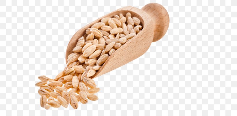 Food Cereal Whole Grain Ancient Grains, PNG, 800x400px, Food, Ancient Grains, Barley, Bean, Cereal Download Free