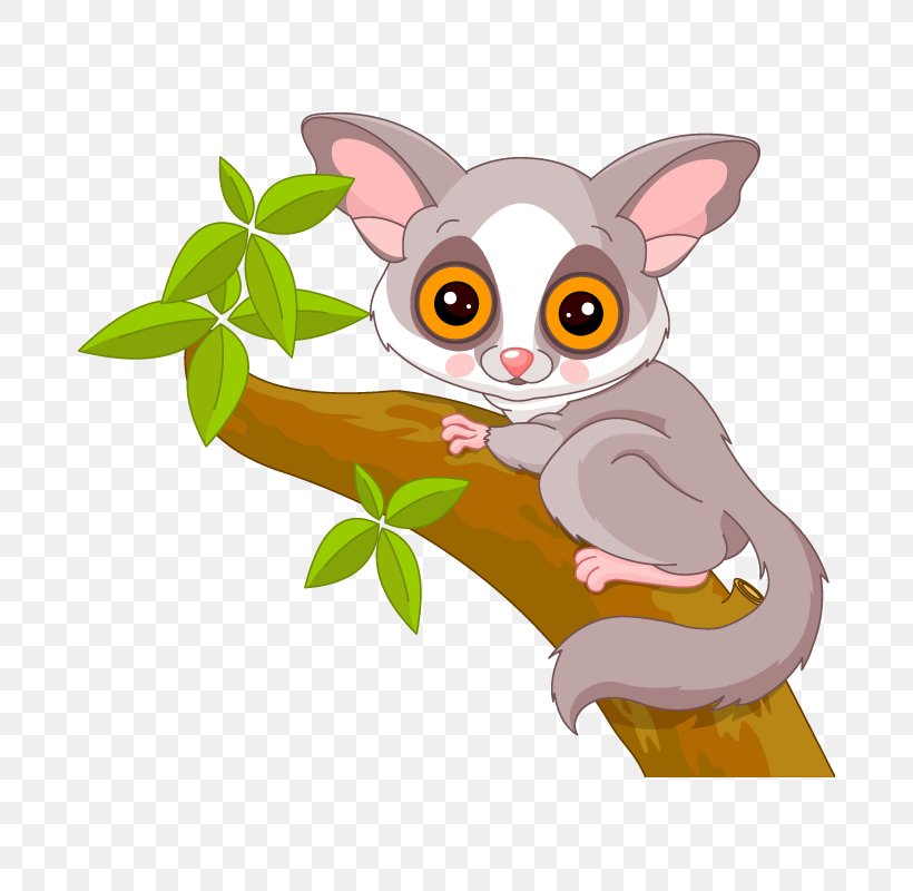 Galago Royalty-free Stock Photography, PNG, 800x800px, Galago, Animation, Carnivoran, Cartoon, Cat Download Free