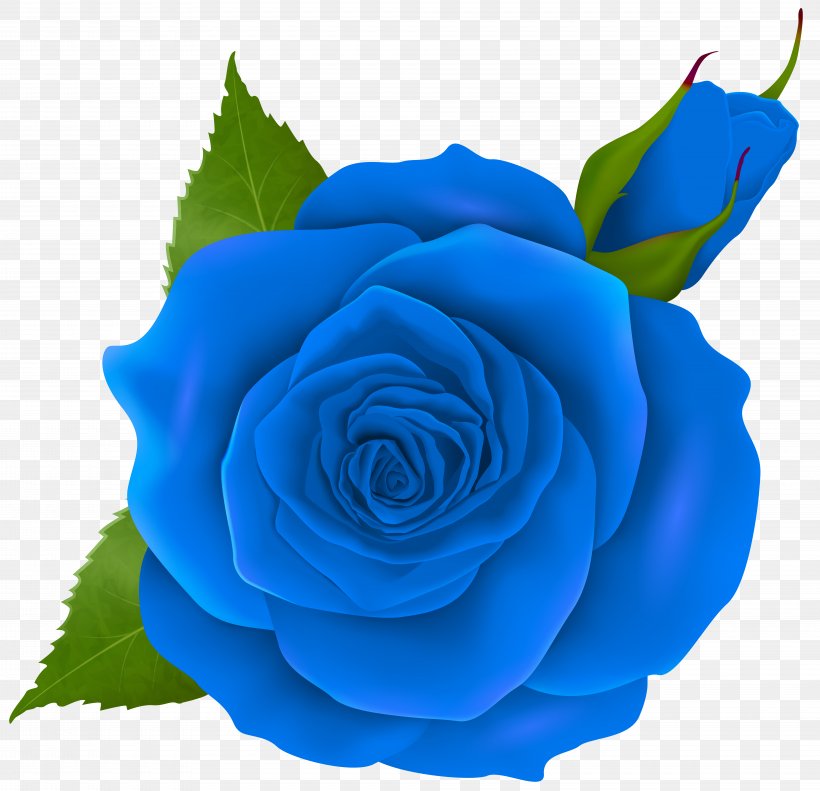 Rose Pink Clip Art, PNG, 8000x7724px, Centifolia Roses, Blue, Blue Rose, Bud, Cobalt Blue Download Free