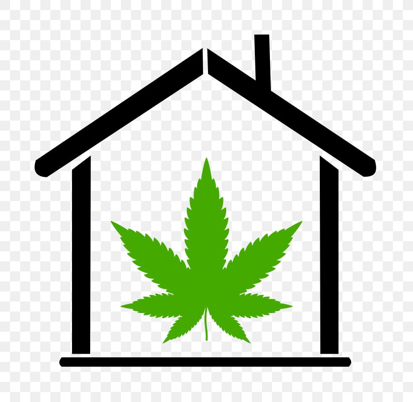 Vector Graphics Clip Art Cannabis Image, PNG, 800x800px, Cannabis, Area, Drawing, Grass, Green Download Free
