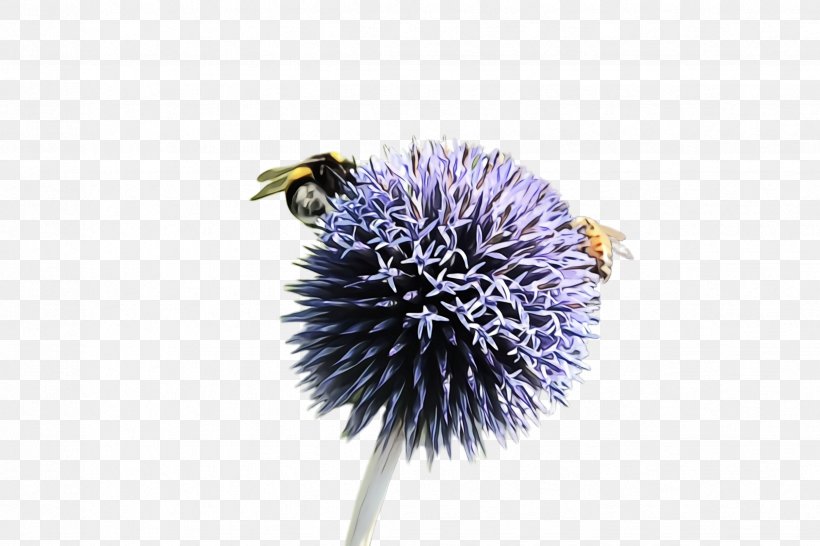 Lavender, PNG, 2448x1632px, Watercolor, Bee, Bumblebee, Flower, Globe Thistle Download Free